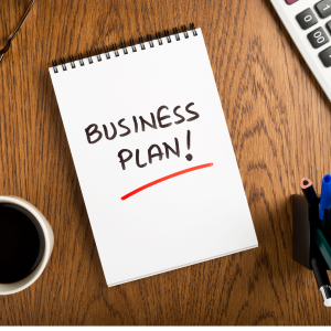 BUSINESS PLAN